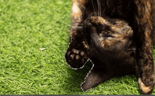 جداکردن پس زمینه تصویر در فتوشاپ